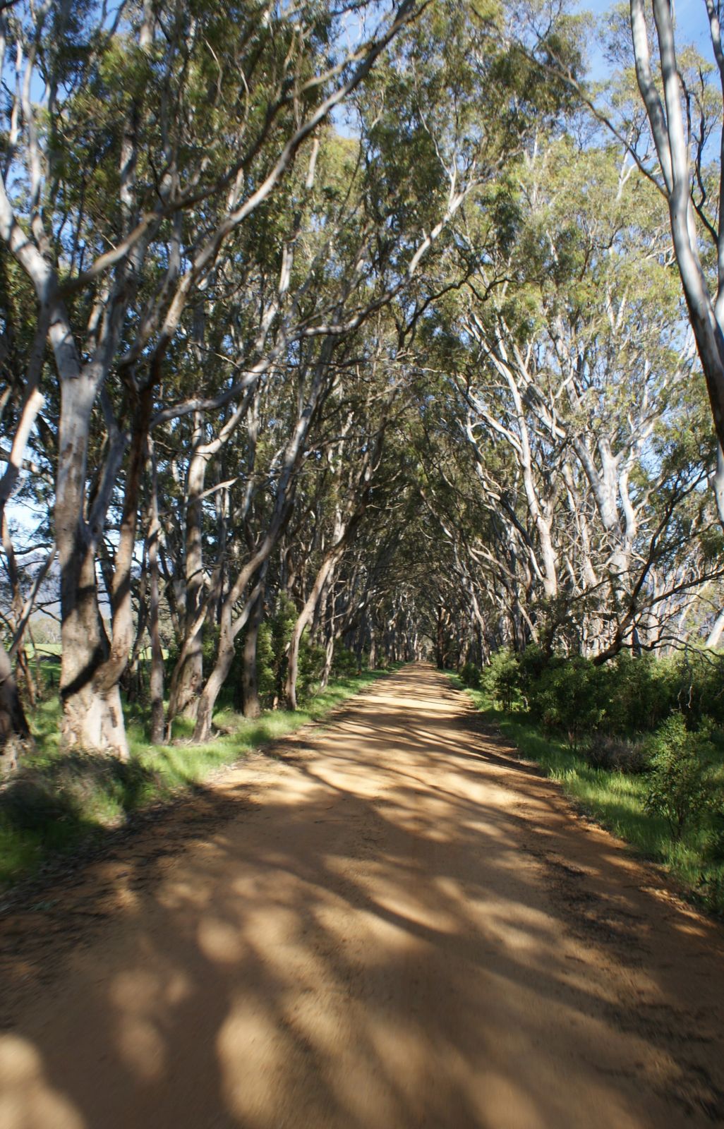 Awesome country laneway's near Grampians NP
